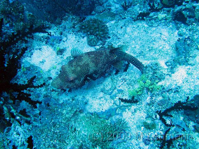 IMG_1399.JPG
