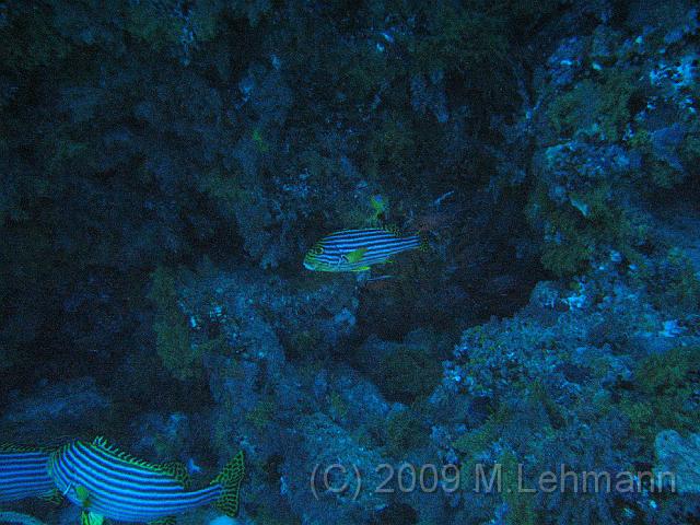 IMG_1405.JPG