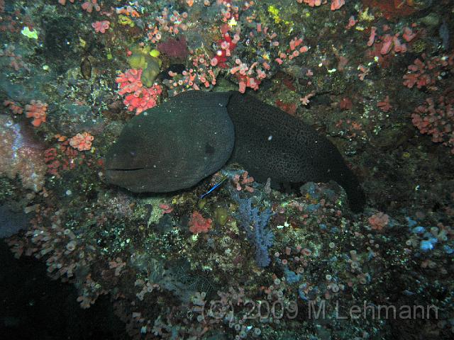 IMG_1430.JPG