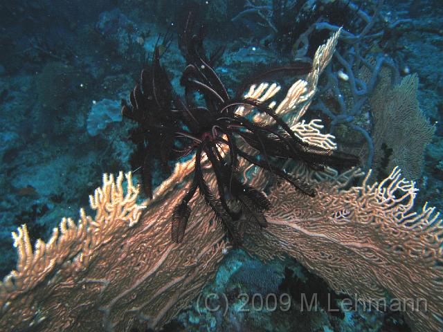 IMG_1447.JPG