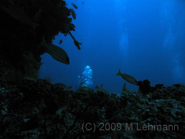 IMG_1475.JPG