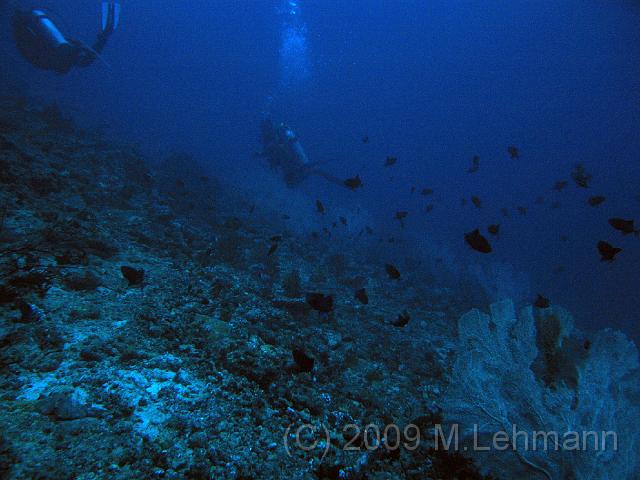 IMG_1487.JPG