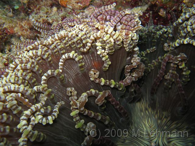 IMG_1494.JPG