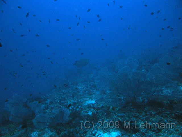 IMG_1499.JPG