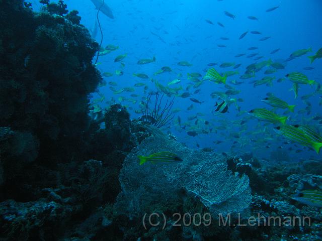 IMG_1506.JPG