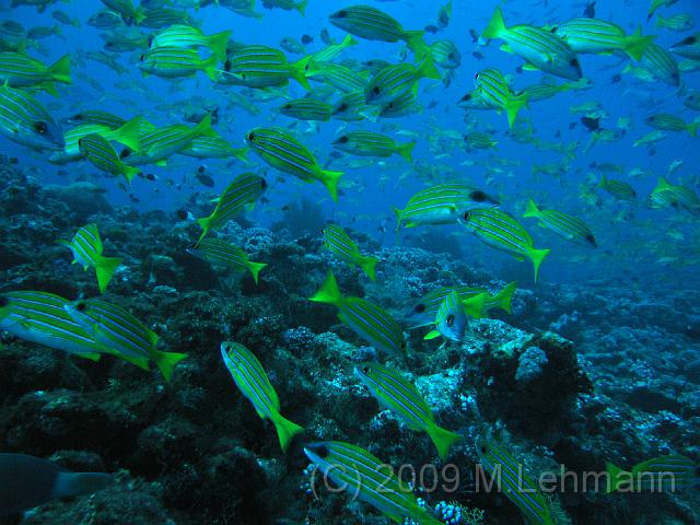 IMG_1507.JPG