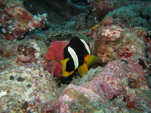 IMG_1512.JPG