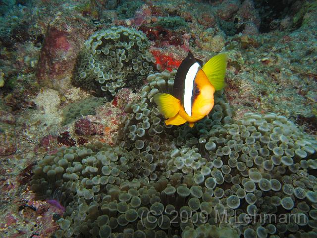 IMG_1513.JPG