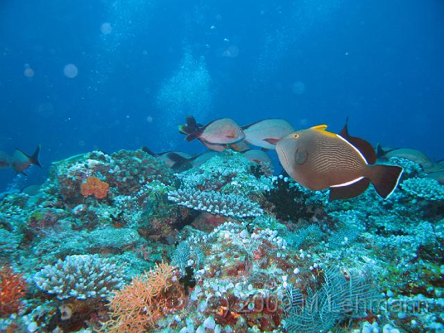 IMG_1516.JPG