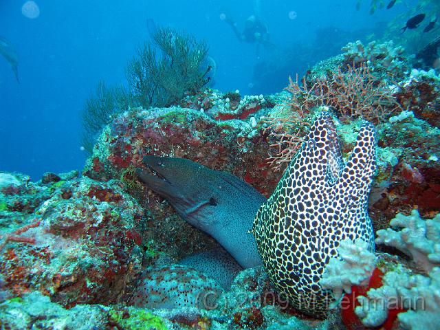 IMG_1525.JPG