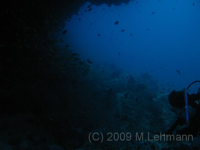 IMG_1534.JPG