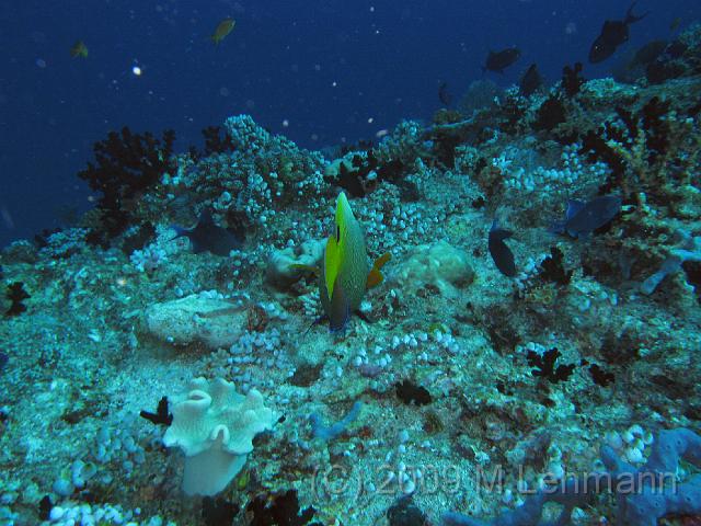 IMG_1545.JPG