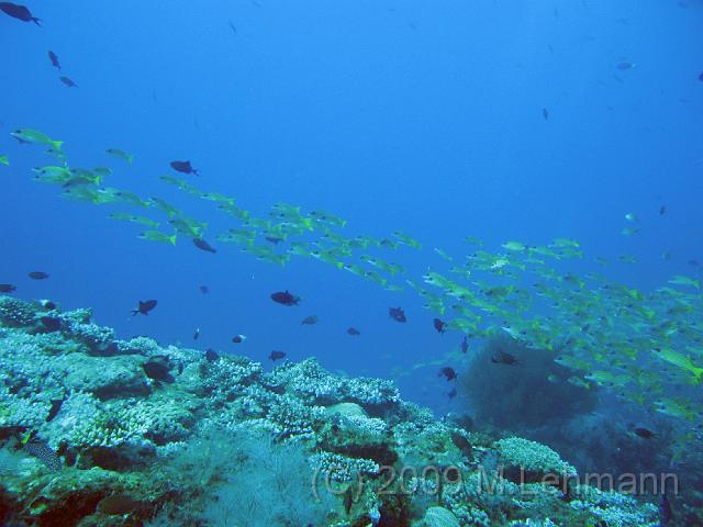 IMG_1547.JPG