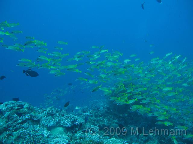 IMG_1548.JPG