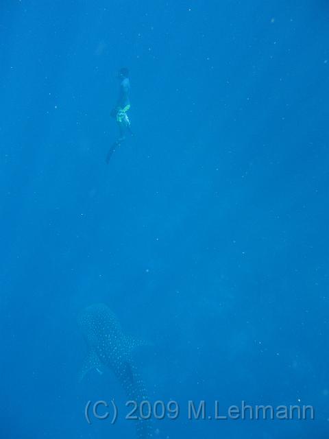 IMG_1574.JPG
