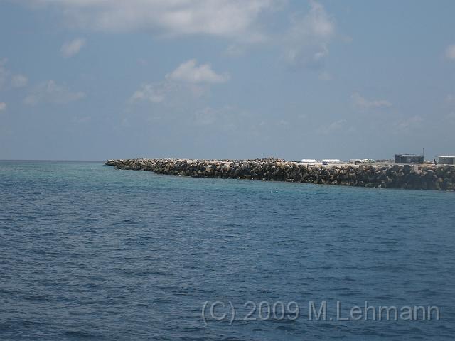 IMG_1590.JPG