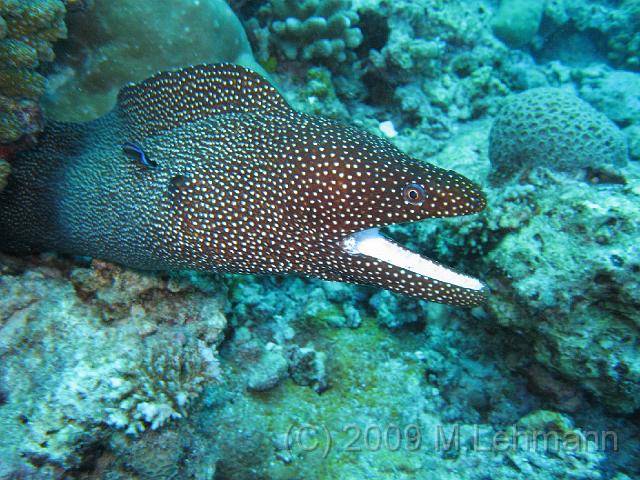 IMG_1603.JPG