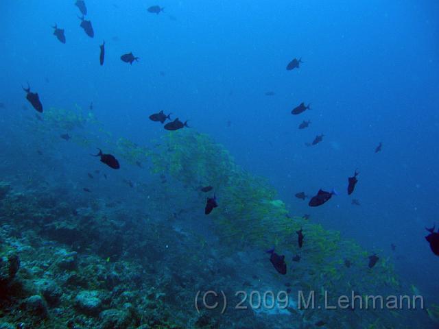 IMG_1605.JPG