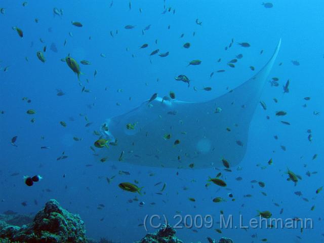 IMG_1625.JPG