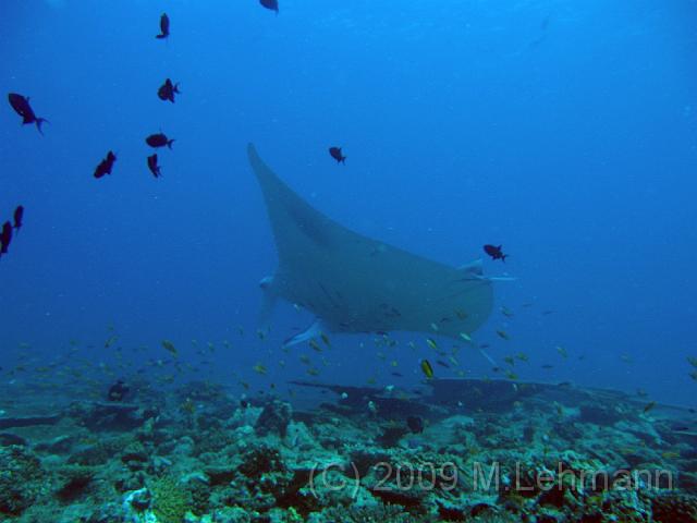 IMG_1634.JPG