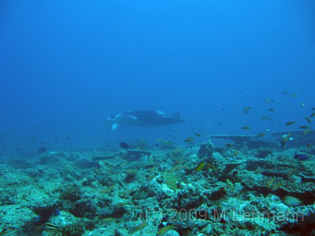 IMG_1635.JPG