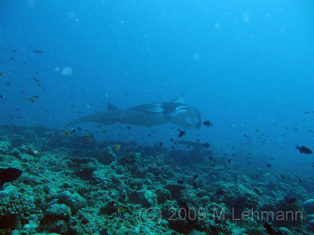 IMG_1647.JPG