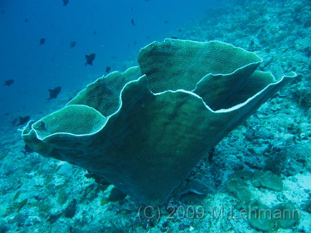 IMG_1671.JPG