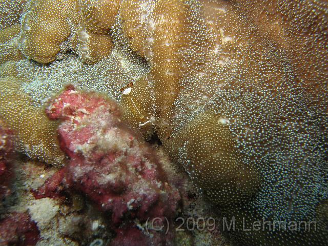 IMG_1689.JPG