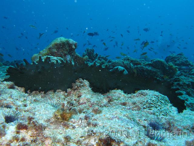 IMG_1701.JPG