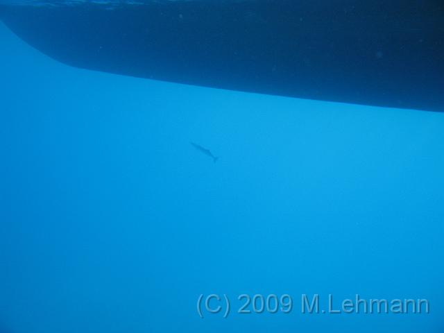 IMG_1711.JPG