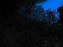 IMG_1479