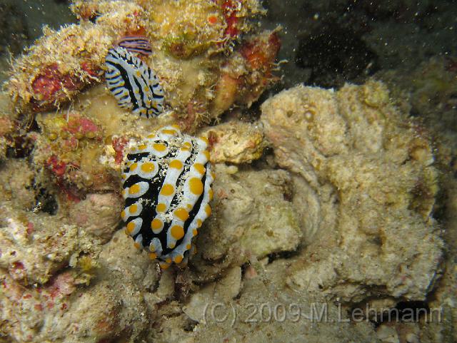 IMG_1764.JPG
