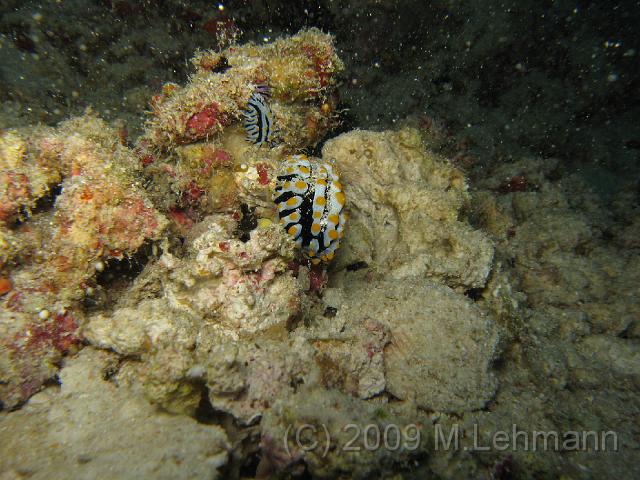 IMG_1767.JPG