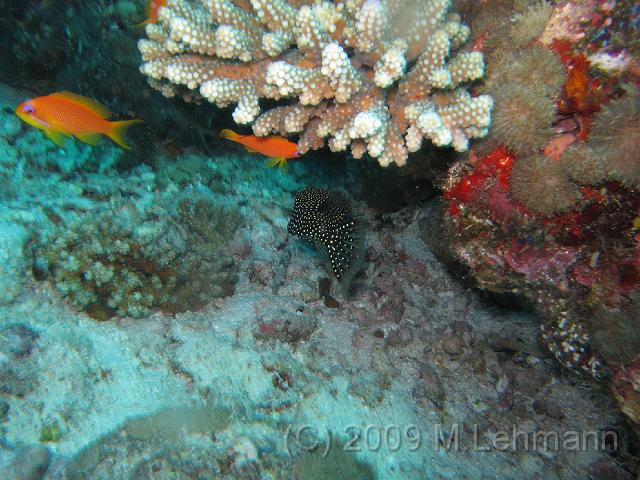 IMG_1793.JPG