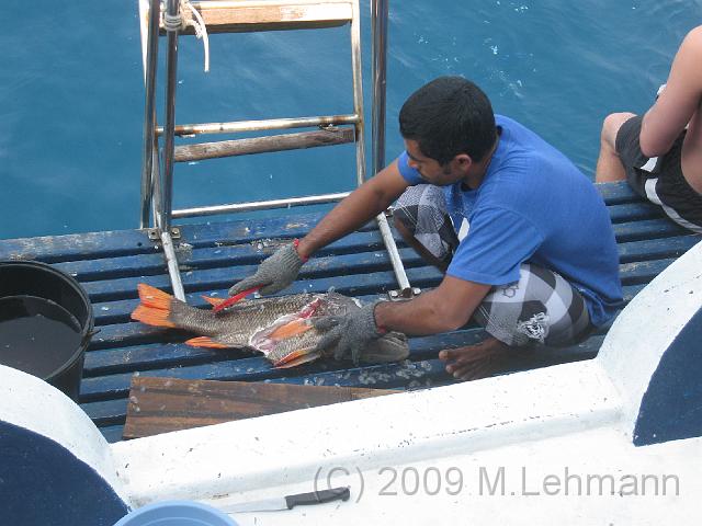 IMG_1800.JPG