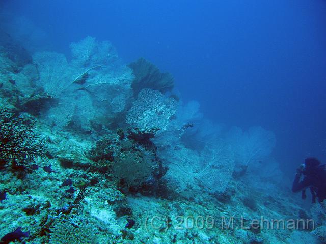 IMG_1810.JPG