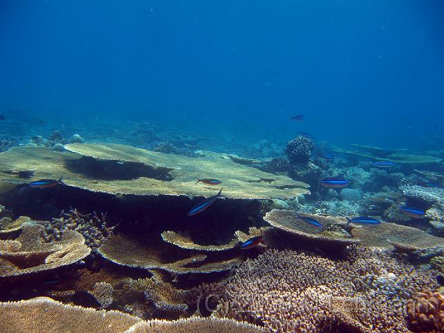 IMG_1855.JPG