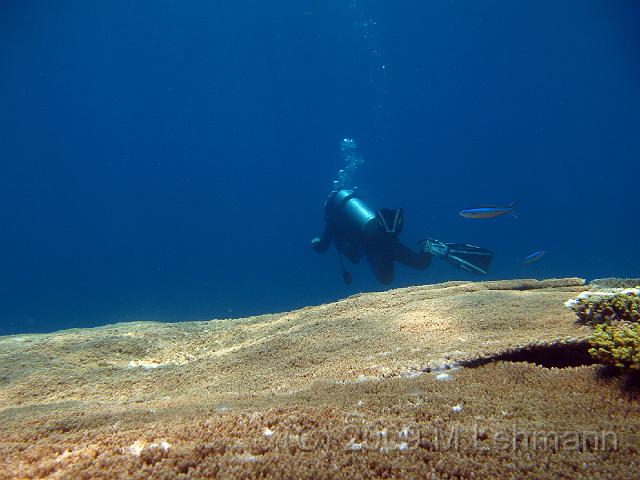 IMG_1858.JPG