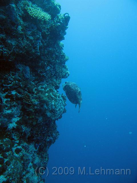 IMG_1890.JPG