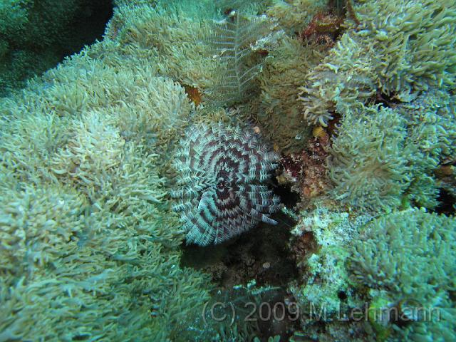 IMG_1891.JPG