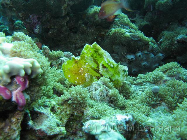 IMG_1894.JPG
