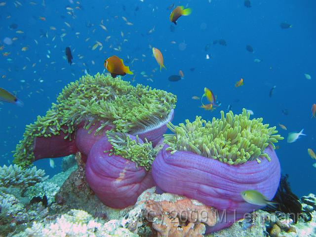 IMG_1906.JPG