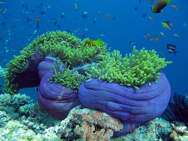IMG_1907.JPG