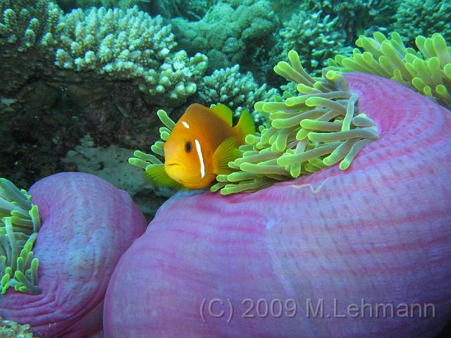 IMG_1917.JPG