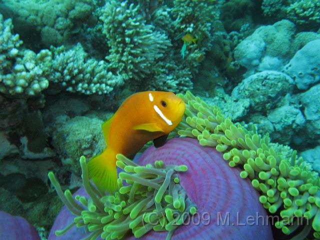 IMG_1918.JPG
