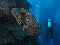 IMG_1887