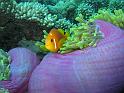 IMG_1917