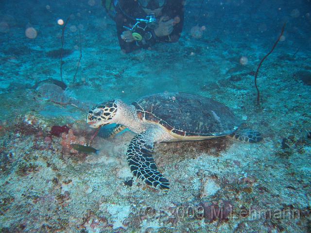 IMG_1955.JPG