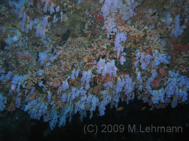 IMG_1961.JPG