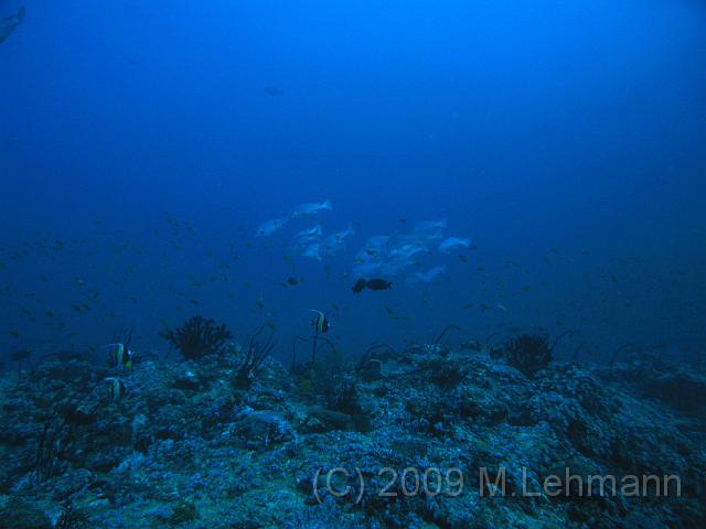 IMG_1965.JPG